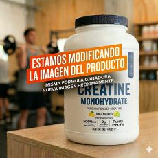 Creatina 500g creapure